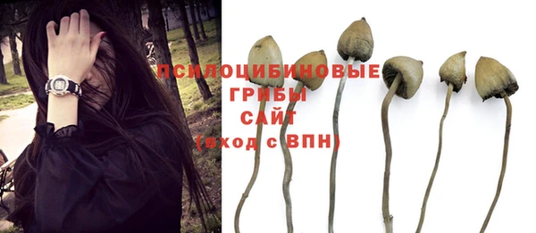 MESCALINE Баксан